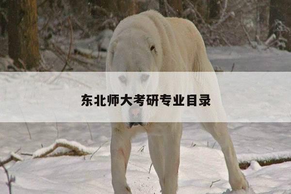 东北师大考研专业目录