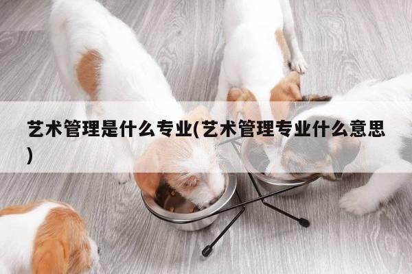 艺术管理是什么专业(艺术管理专业什么意思)