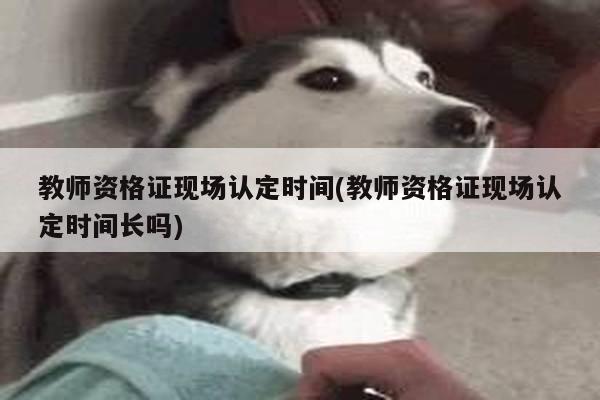 教师资格证现场认定时间(教师资格证现场认定时间长吗)