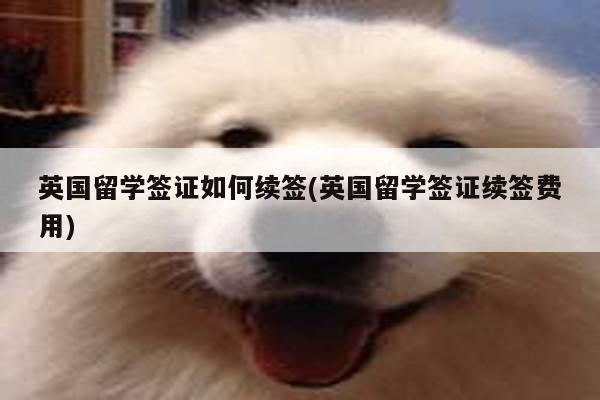英国留学签证如何续签(英国留学签证续签费用)