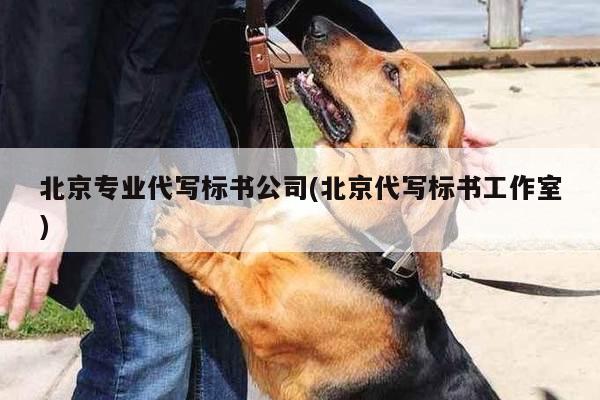 北京专业代写标书公司(北京代写标书工作室)