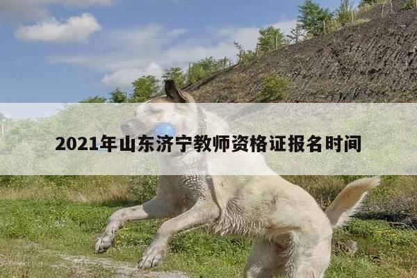 2021年山东济宁教师资格证报名时间