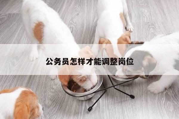 公务员怎样才能调整岗位