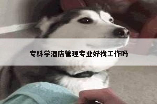 专科学酒店管理专业好找工作吗