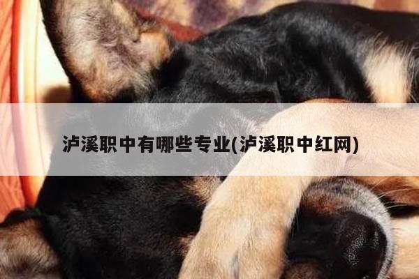 泸溪职中有哪些专业(泸溪职中红网)