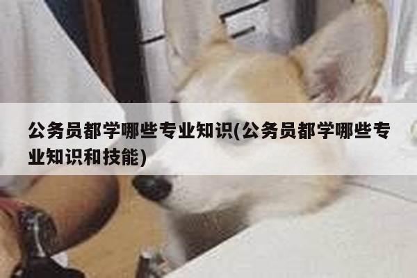 公务员都学哪些专业知识(公务员都学哪些专业知识和技能)