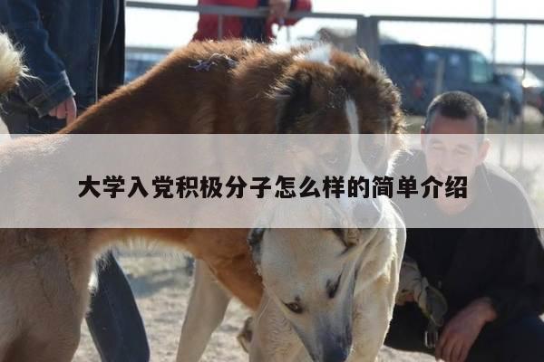 大学入党积极分子怎么样的简单介绍