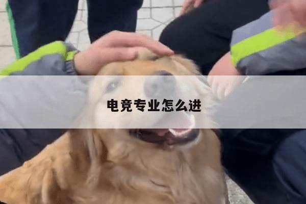 电竞专业怎么进