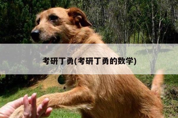考研丁勇(考研丁勇的数学)