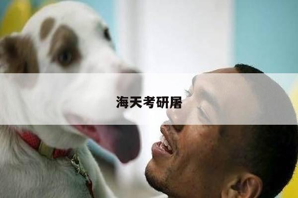 海天考研屠