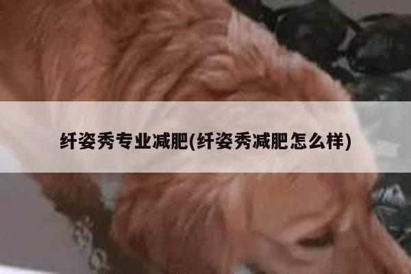 纤姿秀专业减肥(纤姿秀减肥怎么样)