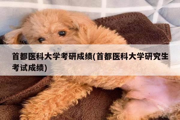 首都医科大学考研成绩(首都医科大学研究生考试成绩)