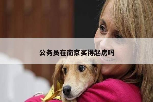 公务员在南京买得起房吗