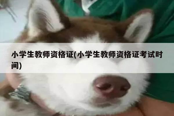 小学生教师资格证(小学生教师资格证考试时间)