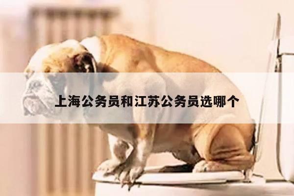 上海公务员和江苏公务员选哪个