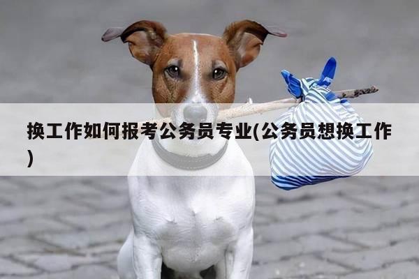 换工作如何报考公务员专业(公务员想换工作)