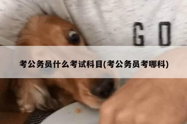 考公务员什么考试科目(考公务员考哪科)