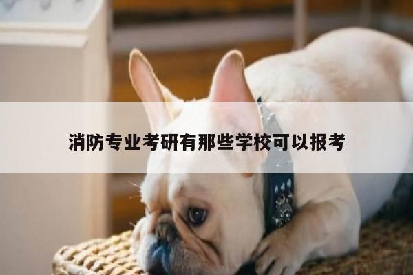 消防专业考研有那些学校可以报考