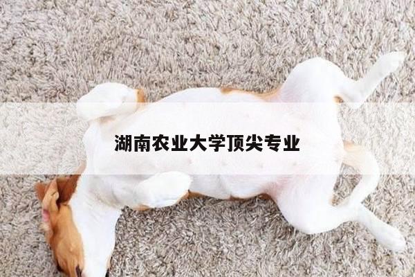 湖南农业大学顶尖专业