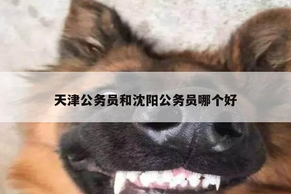 天津公务员和沈阳公务员哪个好