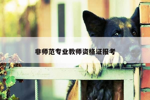 非师范专业教师资格证报考