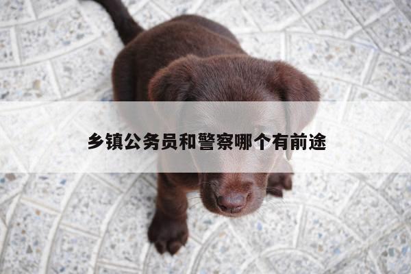 乡镇公务员和警察哪个有前途