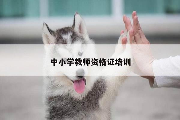 中小学教师资格证培训