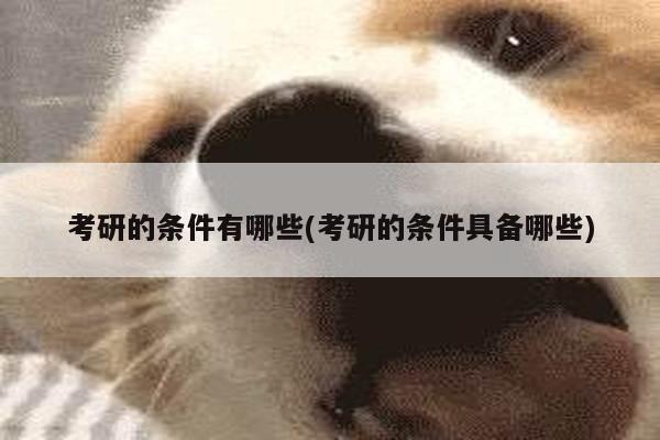 考研的条件有哪些(考研的条件具备哪些)