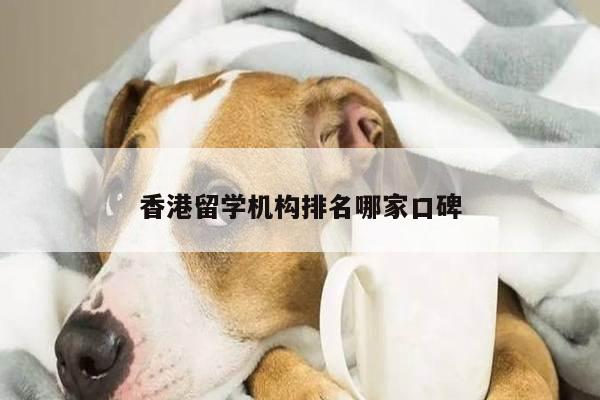 香港留学机构排名哪家口碑
