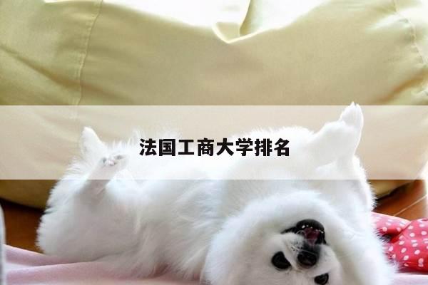 法国工商大学排名