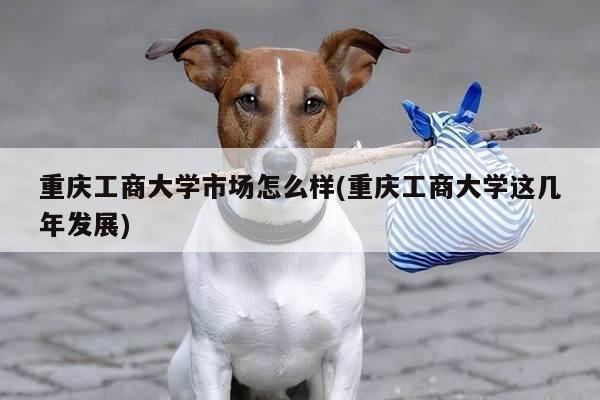 重庆工商大学市场怎么样(重庆工商大学这几年发展)