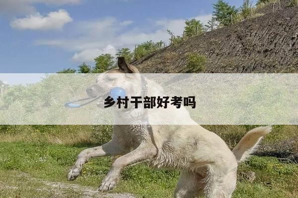 乡村干部好考吗