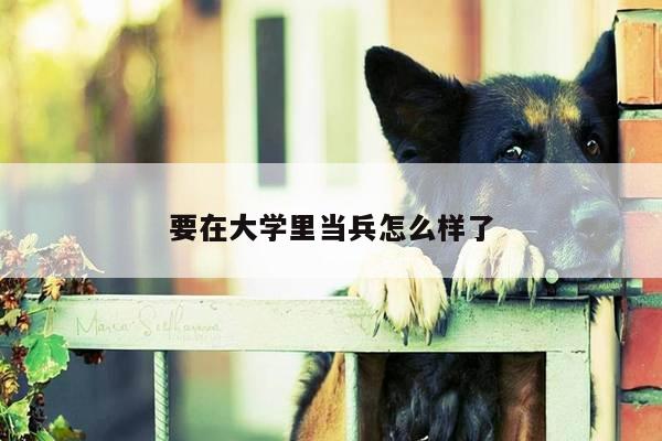 要在大学里当兵怎么样了