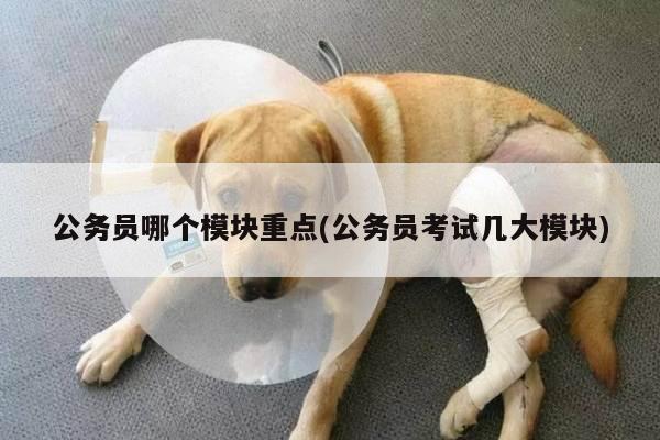 公务员哪个模块重点(公务员考试几大模块)