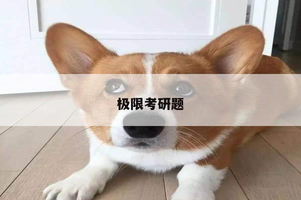 极限考研题
