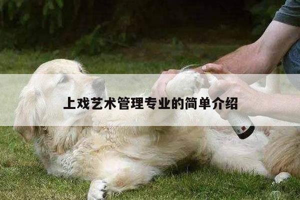 上戏艺术管理专业的简单介绍