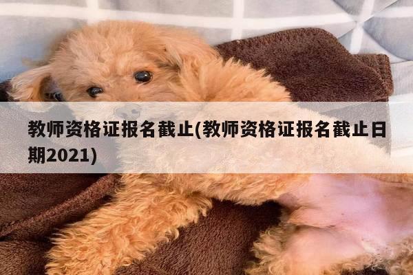 教师资格证报名截止(教师资格证报名截止日期2021)