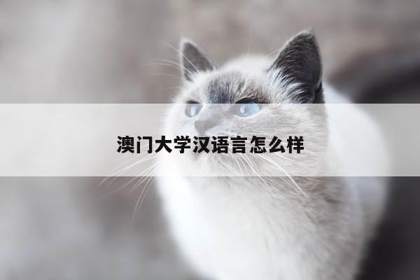 澳门大学汉语言怎么样