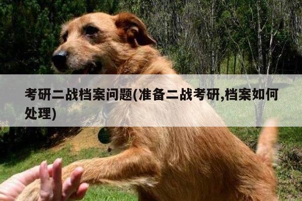 考研二战档案问题(准备二战考研,档案如何处理)