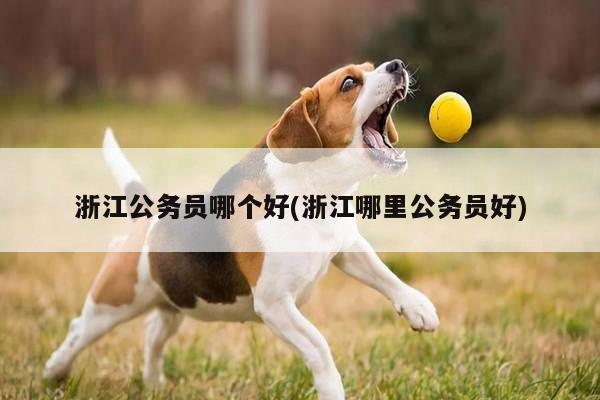 浙江公务员哪个好(浙江哪里公务员好)