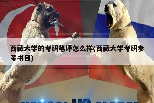 西藏大学的考研笔译怎么样(西藏大学考研参考书目)