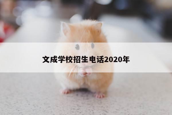 文成学校招生电话2020年