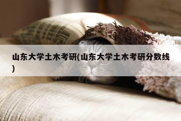 山东大学土木考研(山东大学土木考研分数线)