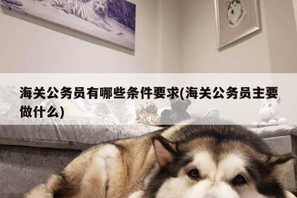 海关公务员有哪些条件要求(海关公务员主要做什么)