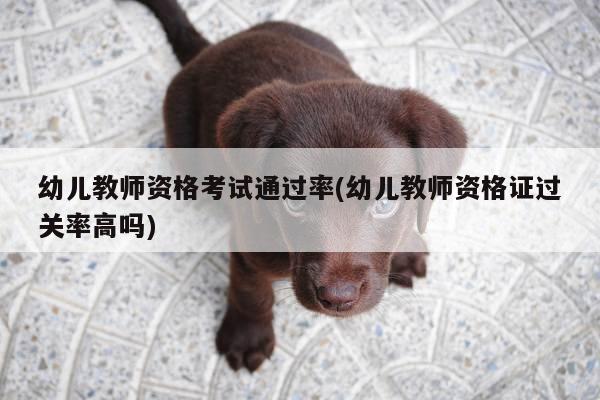 幼儿教师资格考试通过率(幼儿教师资格证过关率高吗)