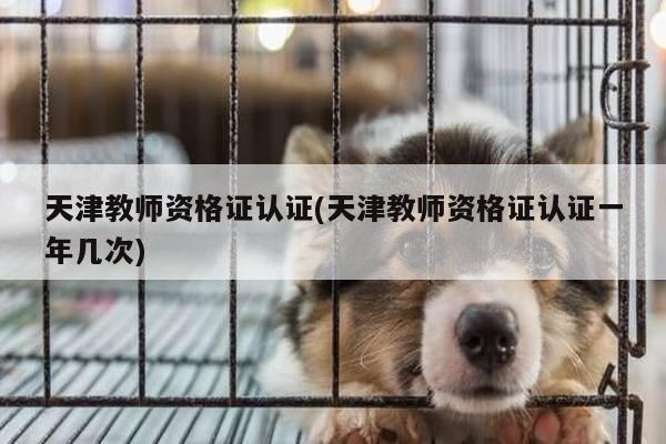 天津教师资格证认证(天津教师资格证认证一年几次)