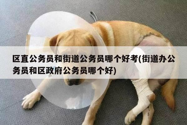 区直公务员和街道公务员哪个好考(街道办公务员和区政府公务员哪个好)