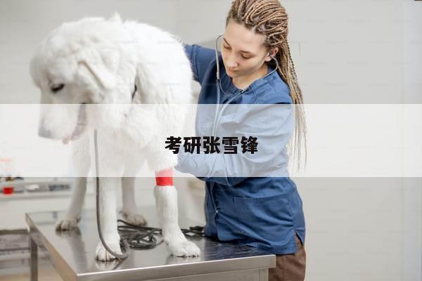 考研张雪锋