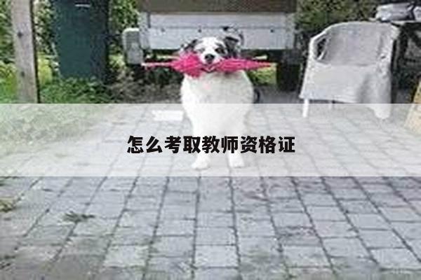 怎么考取教师资格证