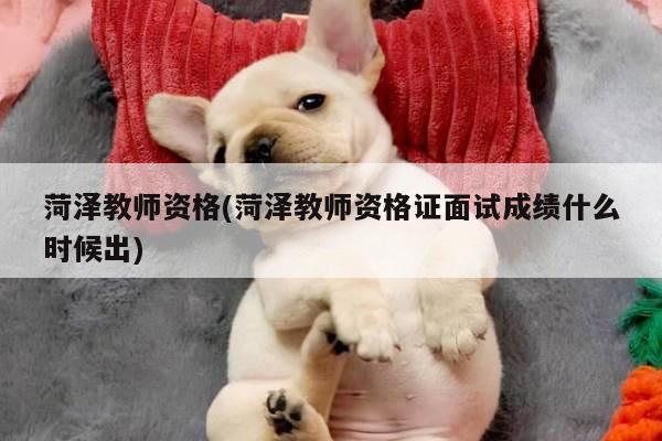 菏泽教师资格(菏泽教师资格证面试成绩什么时候出)